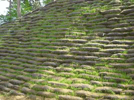 生態(tài)袋綠化護(hù)坡