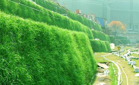 植生袋建植邊坡草坪