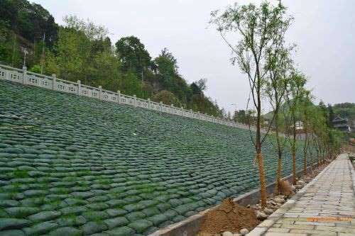 宏祥植生袋綠化各級公路邊坡