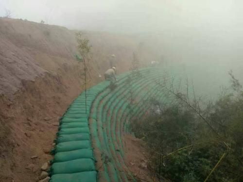 植生袋建植邊坡草坪的方法